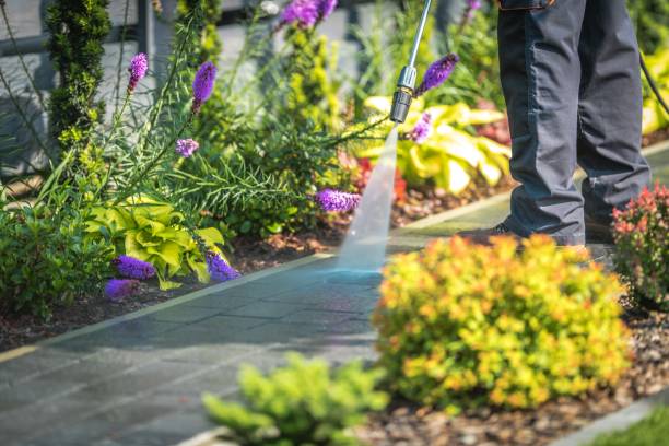 Best Animal Enclosure Cleaning  in West Lealman, FL